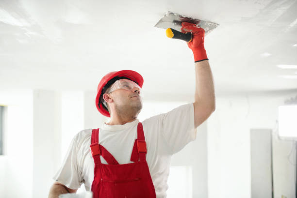 Best Drywall Installation  in USA